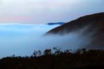 Sonoma County Coast, coastline, coastal fog
