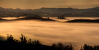 Fog, Valley, early morning, Sonoma County looking south into Marin County hills, trees, hills