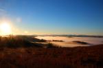 Fog, Valley, early morning, sun, Sonoma County looking south into Marin County hills, trees, hills