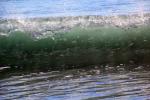 Silky Wave, Drakes Bay, NPND05_283