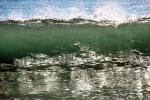 Silky Wave, Drakes Bay, NPND05_284