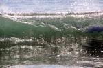 Silky Wave, Drakes Bay, NPND05_285