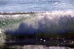 Silky Wave, Drakes Bay, NPND05_286