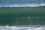 Silky Wave, Drakes Bay, NPND05_287
