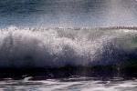 Silky Wave, Drakes Bay, NPND05_289