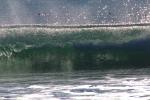 Silky Wave, Drakes Bay, NPND05_291