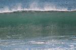 Silky Wave, Drakes Bay, NPND05_292