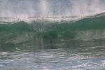 Silky Wave, Drakes Bay, NPND05_294