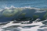 Silky Wave, Drakes Bay, NPND05_295