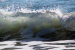 Silky Wave, Drakes Bay, NPND05_296