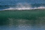 Silky Wave, Drakes Bay, NPND05_299