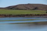 Tomales Bay, Marin County, PCH, Pacific Coast Highway 1, NPND06_007