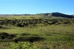Mima Mounds, hogwallow, enigmatic low hummocks, bumps, along Interstate, Highway I-5, near Tracy 