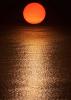 Ball of the Golden Sun, Sun Reflecting in Bolinas Lagoon, Sunset, NPND06_020B