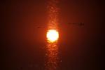 Sun Reflecting in Bolinas Lagoon, Sunset, NPND06_021