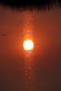Sun Reflecting in Bolinas Lagoon, Sunset, NPND06_022