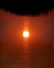 Sun Reflecting in Bolinas Lagoon, Sunset, NPND06_023
