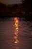 Sunset Waters of Bolinas Lagoon, Marin County