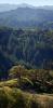 Hilly Mountains, Forest, Trees, Cazedero, Coastal Sonoma County, California, NPND06_091