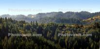 Hills Mountains, Forest, Trees, Coastal Sonoma County, California, NPND06_092