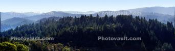 Hills Mountains, Forest, Trees, Coastal Sonoma County, California, NPND06_093