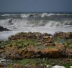 Stormy Ocean, windy, whitecaps, Waddell Beach, Davenport, Santa Cruz County, NPND06_112