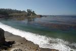Point Lobos Beach, Kelp, Ocean, Shoreline Cliffs, Coastline, Pacific Ocean, NPND06_147