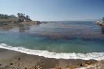 Point Lobos Beach, Kelp, Ocean, Shoreline Cliffs, Coastline, Pacific Ocean, NPND06_149