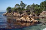 Point Lobos Beach, Kelp, Ocean, Shoreline Rock Cliffs, Coastline, Pacific Ocean, NPND06_150