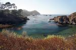 Point Lobos Beach, Kelp, Ocean, NPND06_160