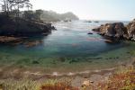 Point Lobos Beach, Kelp, Ocean, NPND06_161
