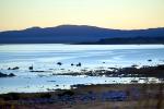 Morning Calm at Mono Lake, NPND06_179