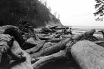 Driftwood, Beach, flotsam, jetsam, Coastline, coastal, Pacific Ocean, coast, shoreline, NPNPCD0654_074