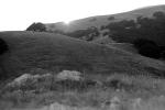 Hills, Mount Tamalpais, NPNPCD0656_115