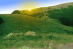 Hills, Sun, Mount Tamalpais, NPNPCD0656_115B