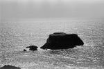 Goat-Rock, Pacific Ocean, Horizon, NPNPCD0658_001