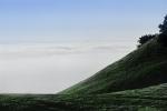 Mount Tamalpais, NPNPCD0658_024B