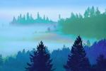 fog over the coastal range, bucolic, mystical, forest, NPNPCD0658_045B