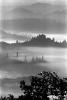 fog over the coastal range, bucolic, mystical, forest, NPNPCD0658_046