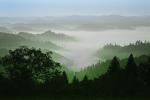 fog over the coastal range, Austin Creek State Park, NPNPCD0658_050B