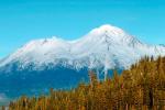 Mount Shasta, NPNV01P06_11.1263
