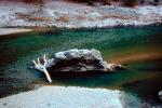 Rock, stone, river, water, Ice, Trinity River, Trinity Alps, NPNV01P07_17.1263