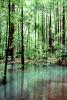 Emerald Pools, ponds, water, Forest, NPNV01P08_15B
