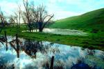 Valley Ford, Fence, Flooding, Sonoma County