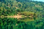 Forest, lake, reflection, Crystal Springs Reservoir, San Mateo County, northern Santa Cruz Mountains, rift valley, water