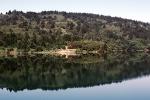 Forest, lake, reflection, Crystal Springs Reservoir, San Mateo County, northern Santa Cruz Mountains, rift valley, water, NPNV01P09_14