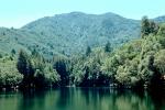 Bon Tempe Lake, Marin County, Mount Tamalpais, water, NPNV01P10_09.1264