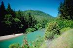 Eel River, Forest, beach, Avenue of the Giants, Humboldt County, NPNV02P02_17.1264