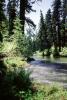 Eel River, Forest, Woodlands, Trees, Avenue of the Giants, Humboldt County, NPNV02P02_18