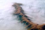 Mount Diablo Floating in a Sea of Fog, NPNV02P04_03.1264